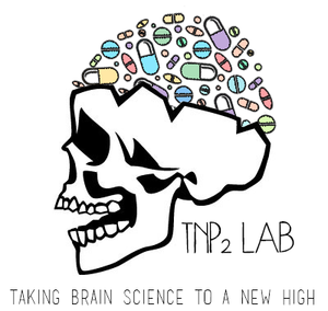 TNP2 Lab logo