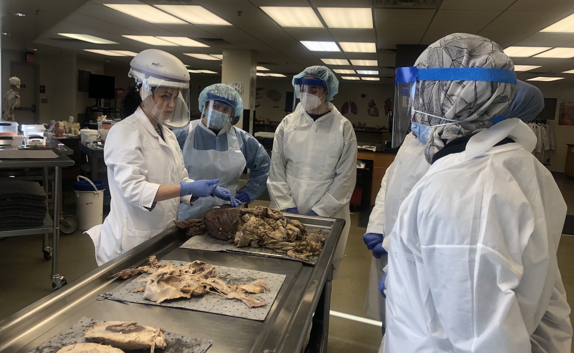 CLS students get hands-on experience from pathologists' assistant faculty
