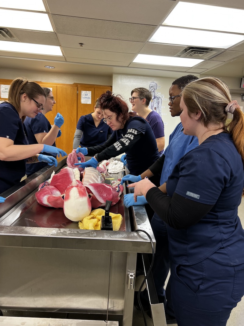 Pathologists' Assistant students are introduced to Wayne State University's new SynDaver.