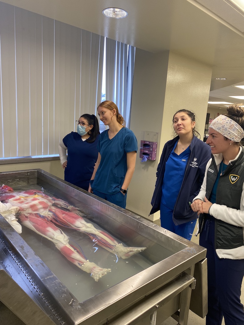 Pathologists' Assistant students are introduced to Wayne State University's new SynDaver.