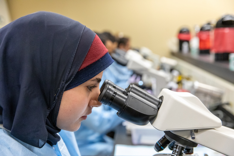 A Wayne State medical laboratory science program student looks into a microscope.